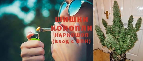 эйфоретик Гусь-Хрустальный