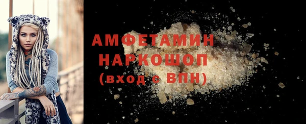 прущие грибы Гусиноозёрск