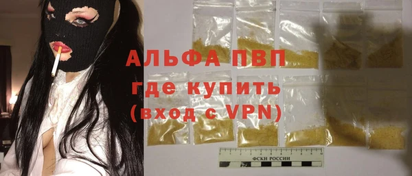 эйфоретик Гусь-Хрустальный
