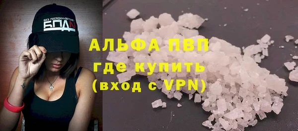эйфоретик Гусь-Хрустальный