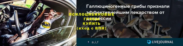 эйфоретик Гусь-Хрустальный