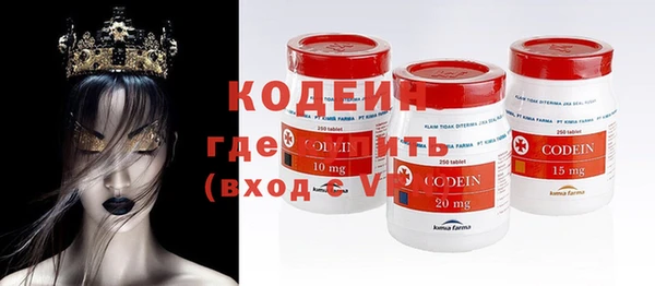прущие грибы Гусиноозёрск