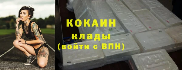 эйфоретик Гусь-Хрустальный