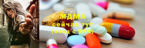 эйфоретик Гусь-Хрустальный