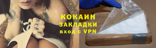 прущие грибы Гусиноозёрск