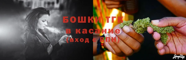 прущие грибы Иноземцево