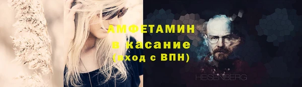 эйфоретик Гусь-Хрустальный
