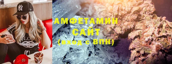 прущие грибы Гусиноозёрск