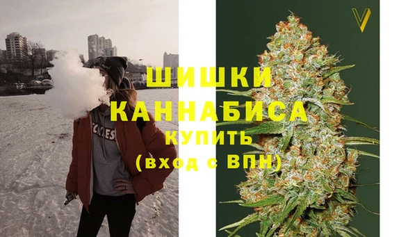 прущие грибы Гусиноозёрск