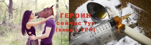 прущие грибы Гусиноозёрск