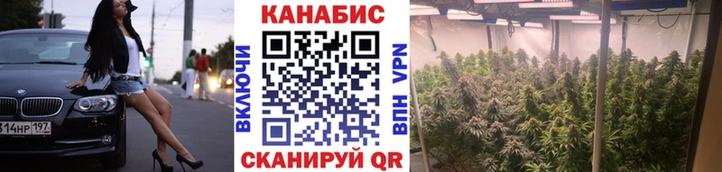 Бошки марихуана MAZAR  Купить закладки  Покачи 